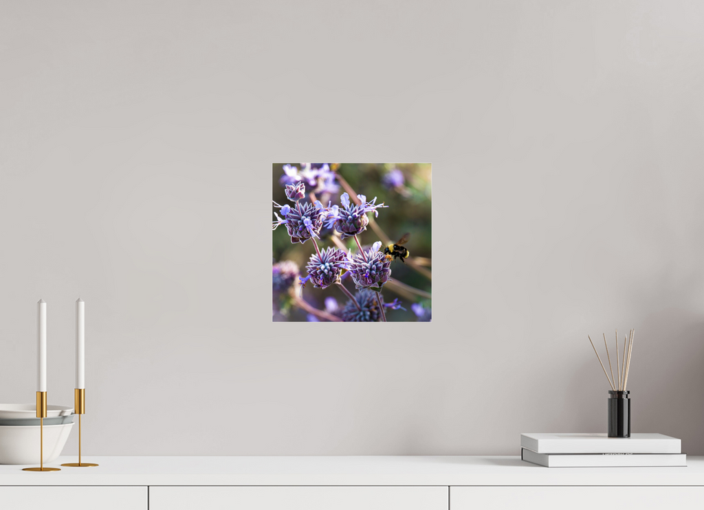 10 x 10″, Photo Print Under Acrylic Glass Summer Bee