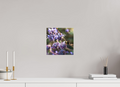 10 x 10″, Photo Print Under Acrylic Glass Summer Bee