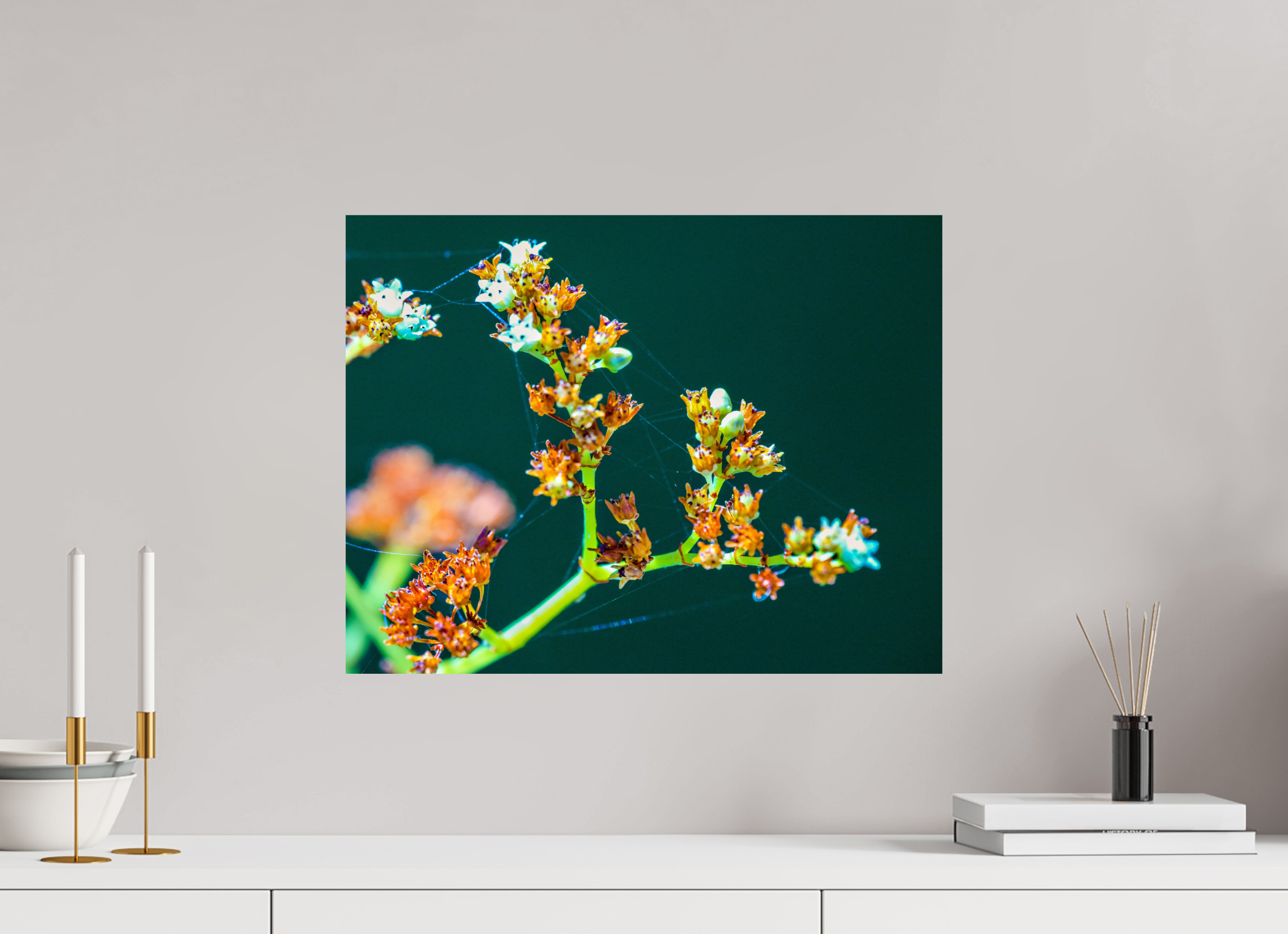 20.8 x 16″, Photo Print On Fuji Crystal DP II Flower Web