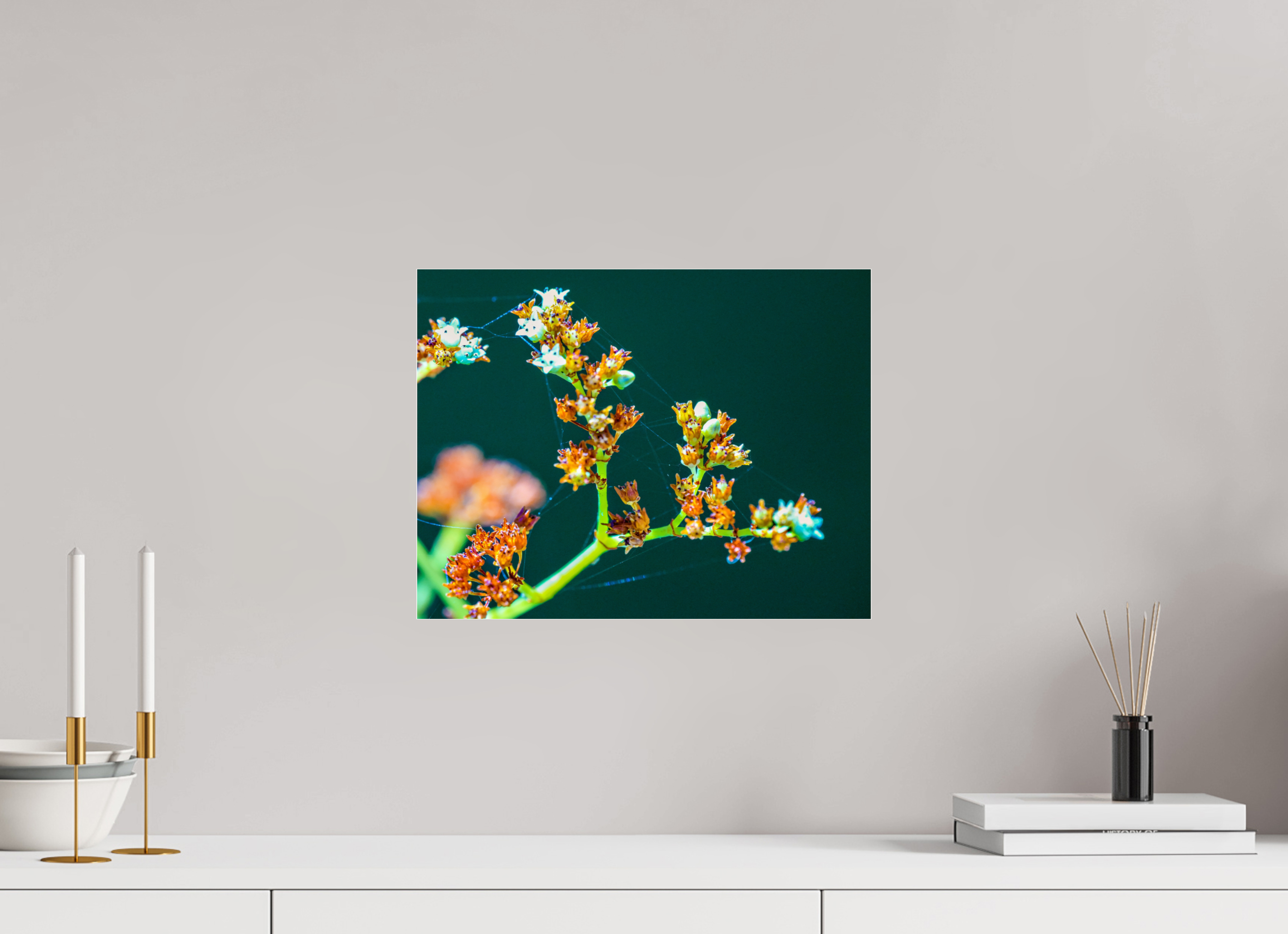 15.6 x 12″, Photo Print Under Acrylic Glass Flower Web