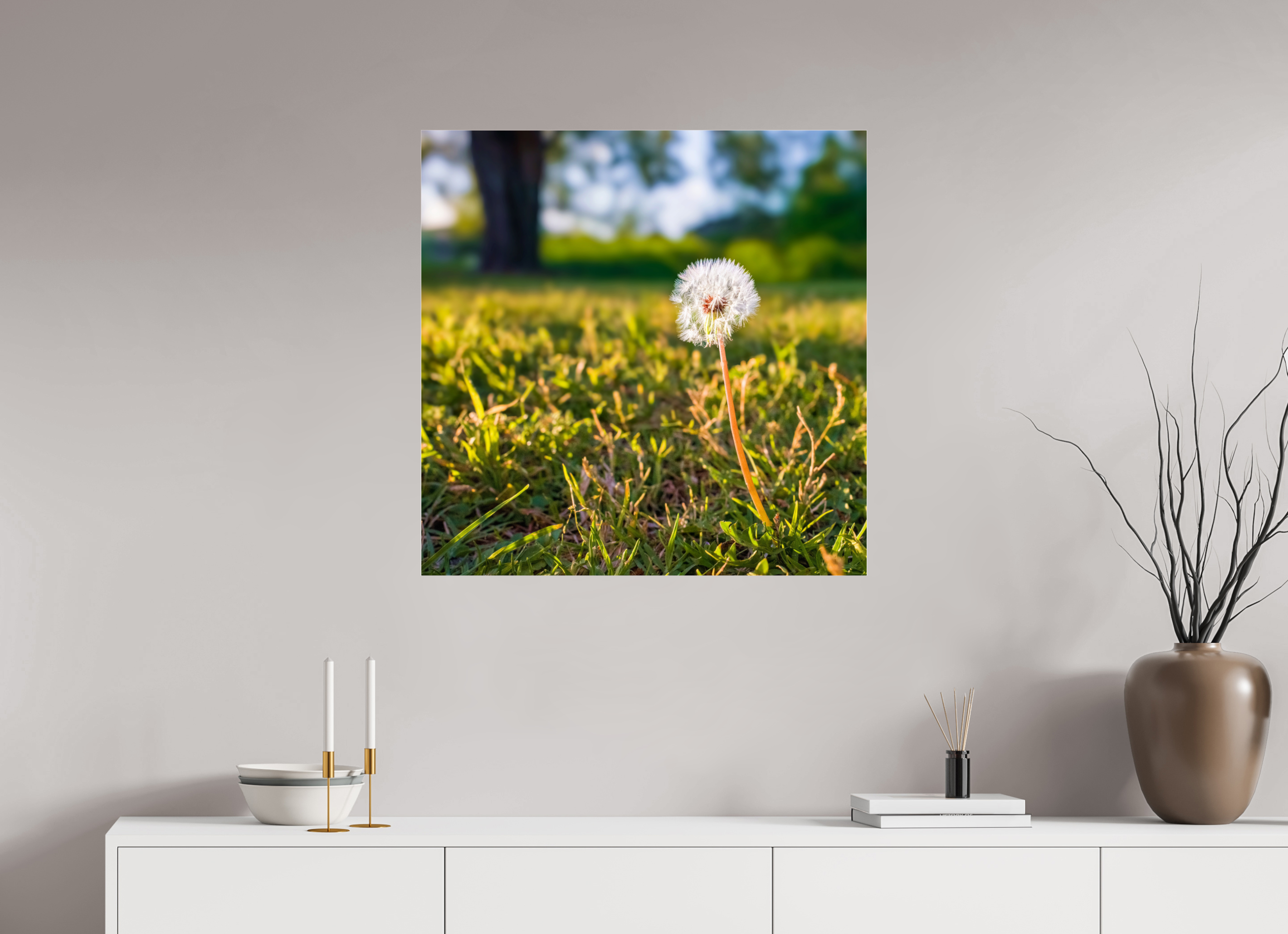 30 x 30″, Photo Print Under Acrylic Glass Dandelion