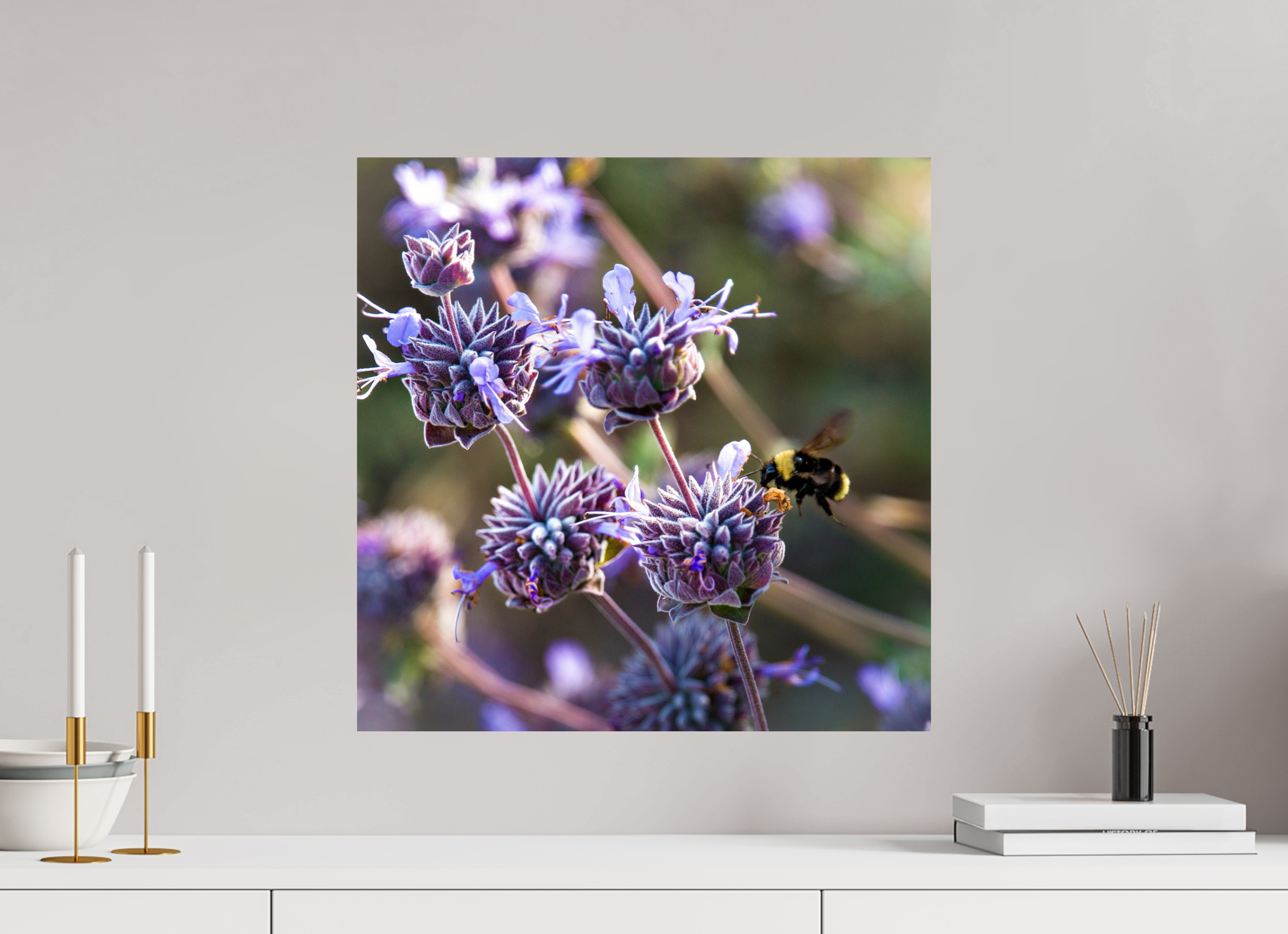 20 x 20″, Photo Print On Fuji Crystal DP II Summer Bee