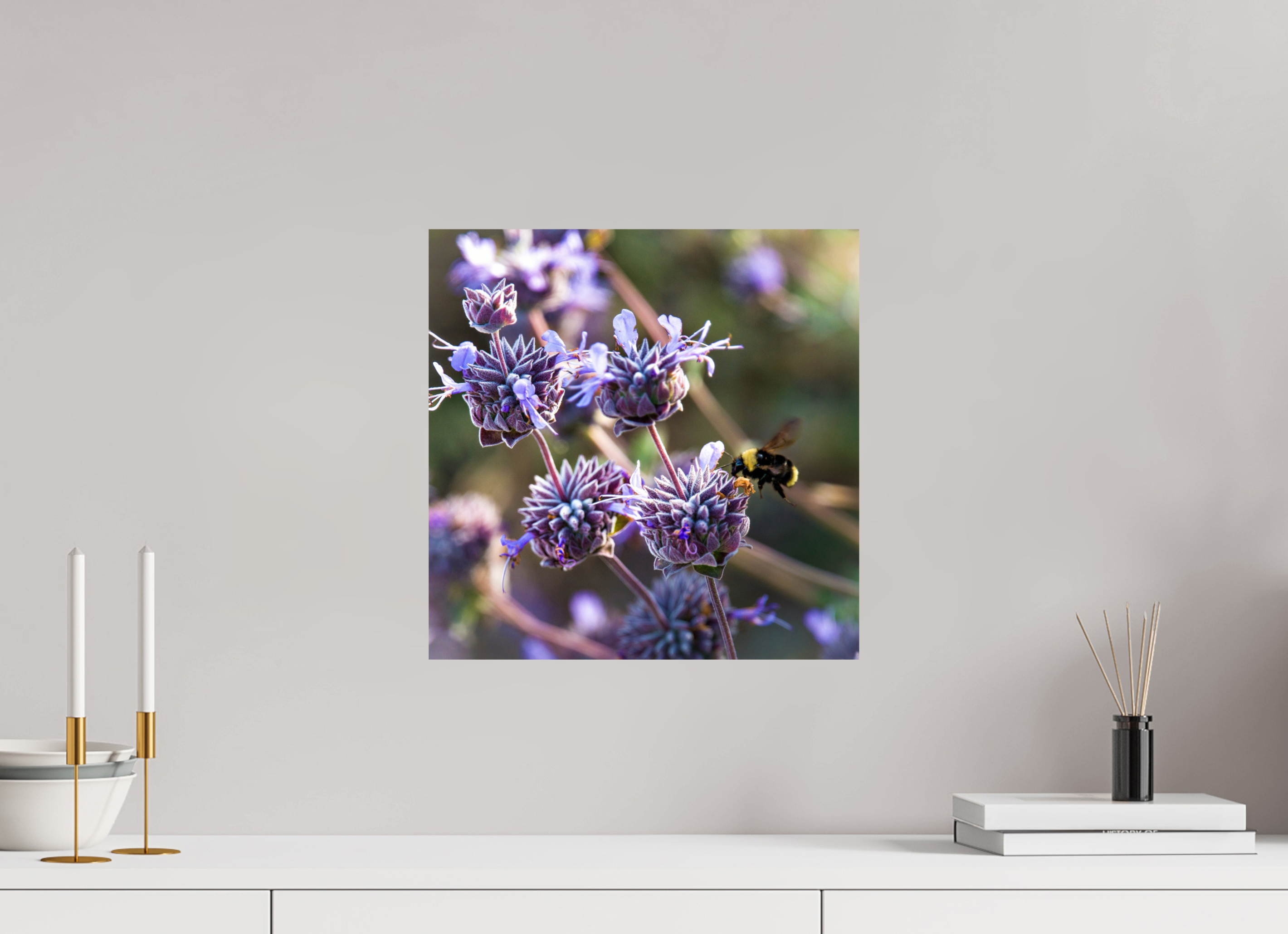 15 x 15″, Photo Print On Fuji Crystal DP II Summer Bee
