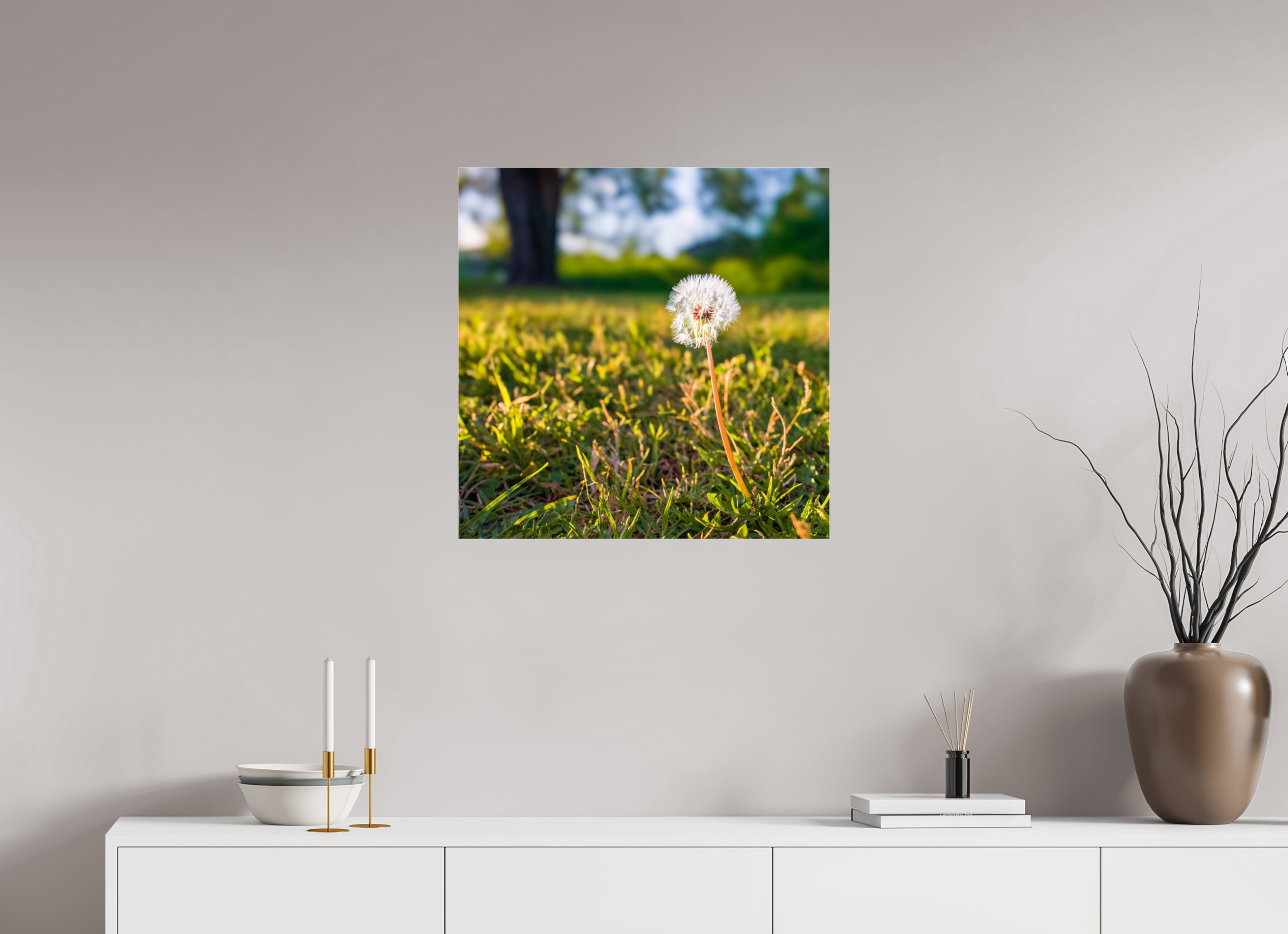 25 x 25″, Photo Print Under Acrylic Glass Dandelion