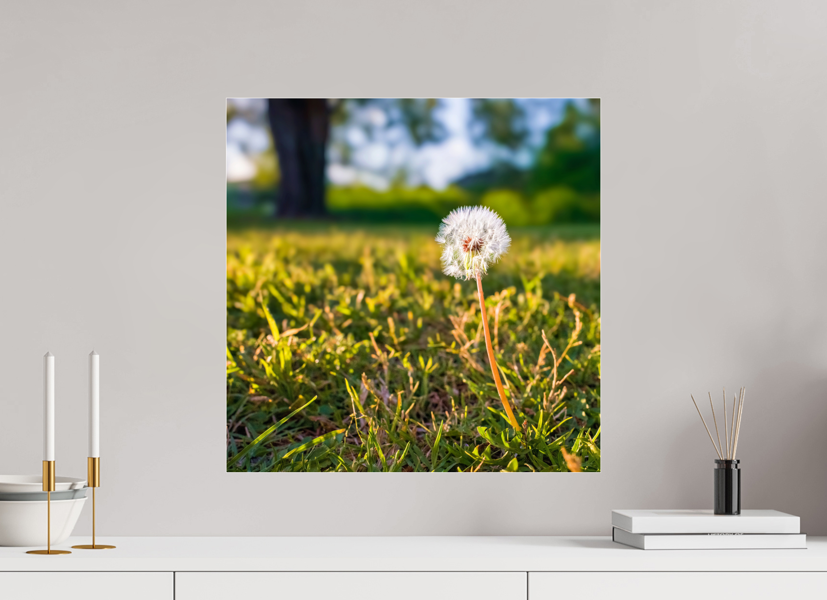 20 x 20″, Photo Print Under Acrylic Glass Dandelion