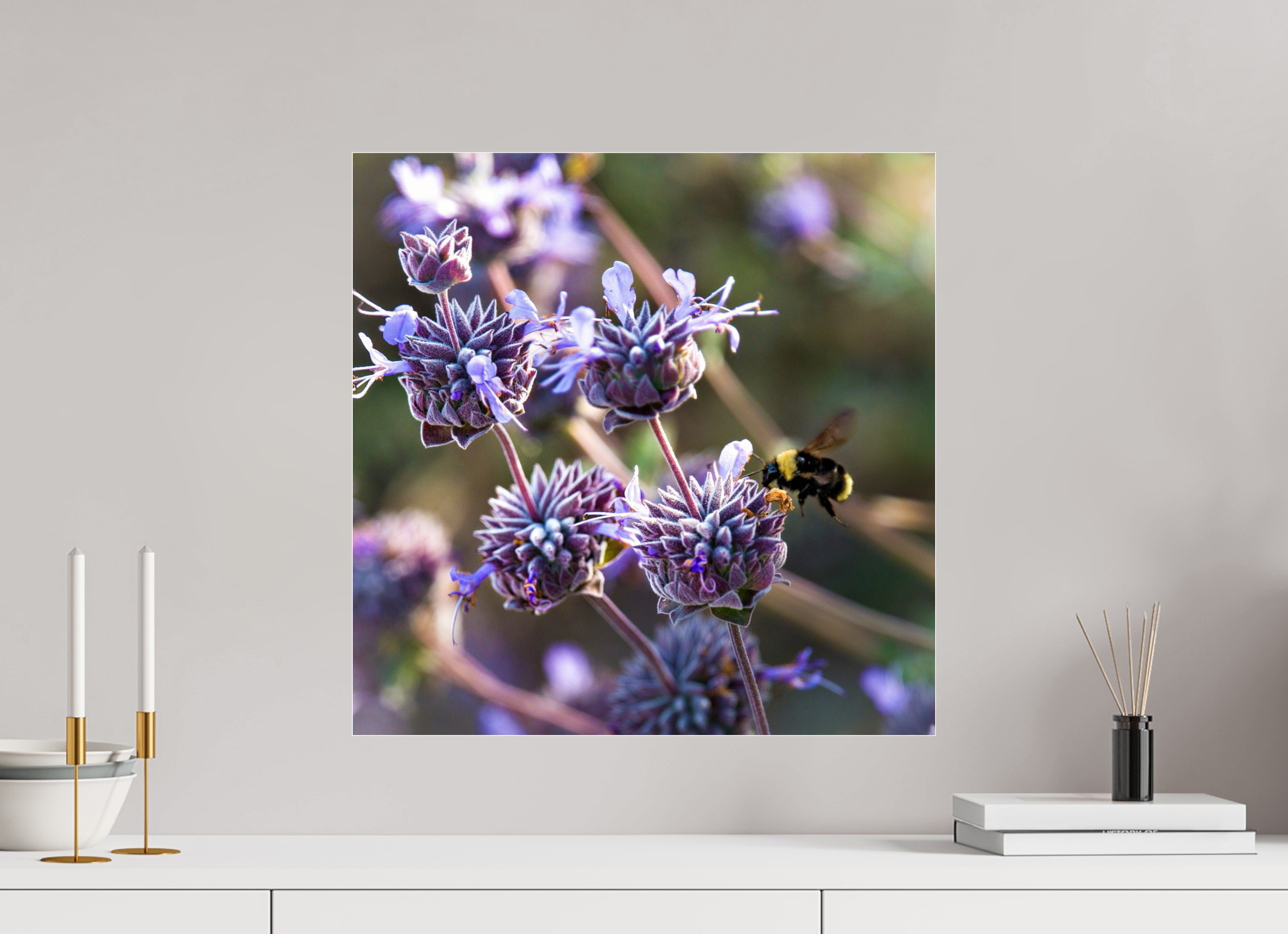 20 x 20″, Photo Print Under Acrylic Glass Summer Bee