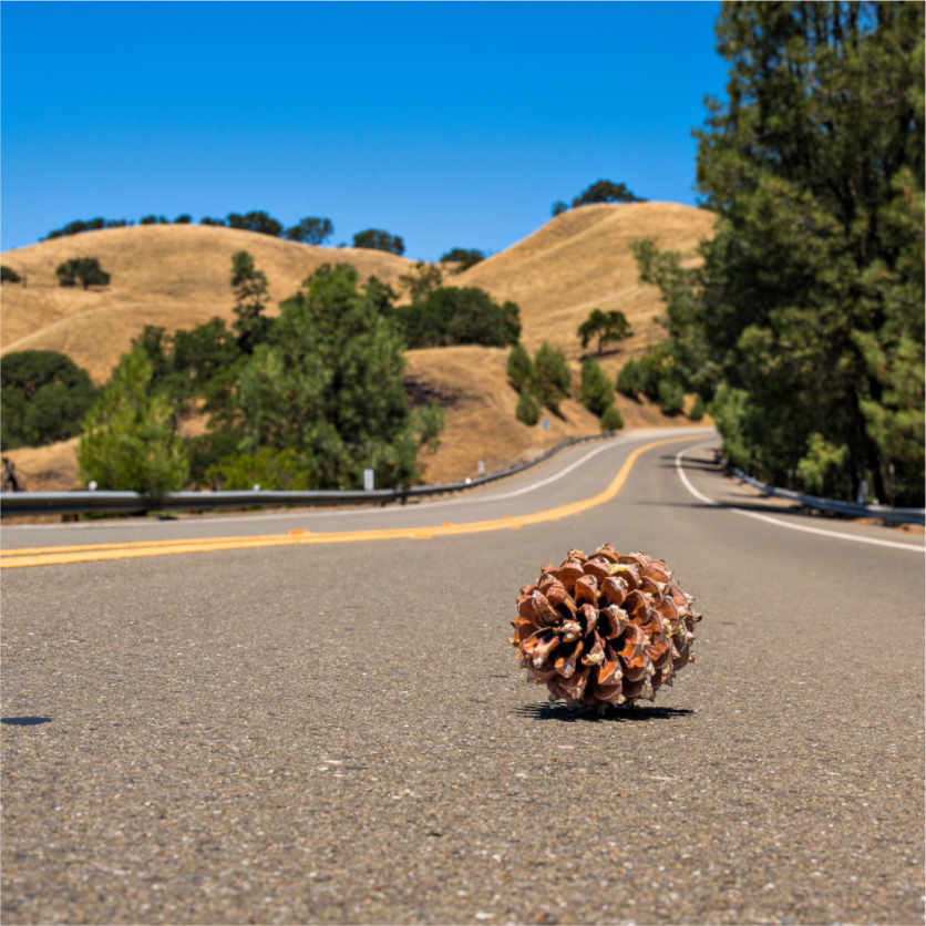 Main image Lonely Road